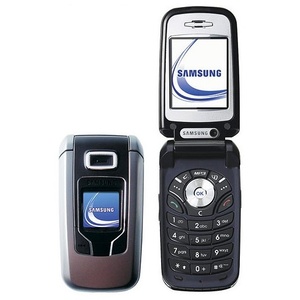 Samsung Z310